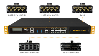 Peplink Balance SDX