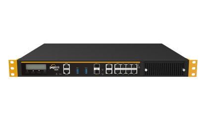 Peplink Balance SDX